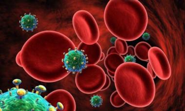 Можно ли вылечить ВИЧ-инфекцию?