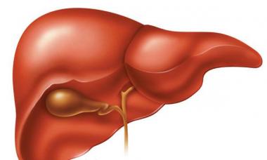 Čišćenje jetre Alloholom - recenzije i učinak lijeka na tijelo