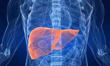 Ciroza jetre, stadijum 4: koliko žive?