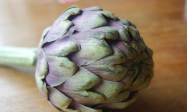 Artichoke extract: instructions for use
